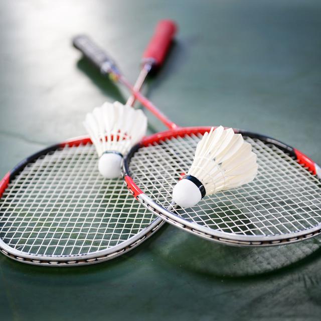 BADMINTON