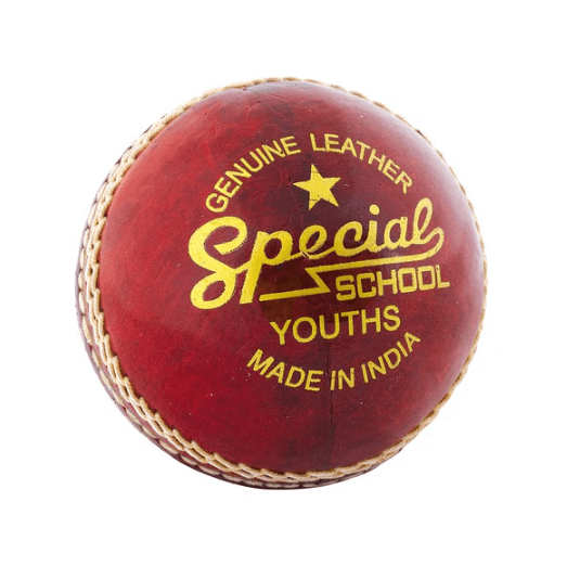 Readers Special Cricket Ball