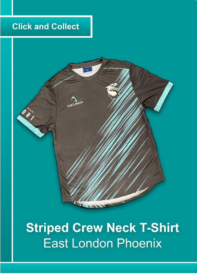 Striped Phoenix Performance Crew Neck T-Shirt